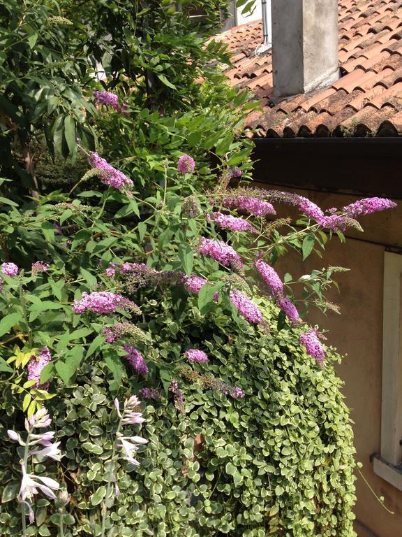 Bed and Breakfast Residenza San Faustino Verona Exterior foto